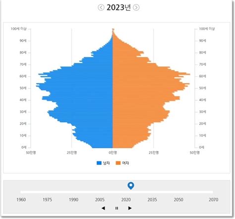 2023년 인구 피라미드 오마이포토