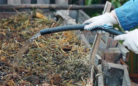 Comment Utiliser Du Fumier Pour Fertiliser Le Jardin Potager