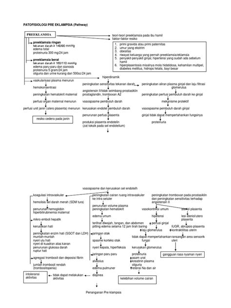 Woc Pathway Sepsis Pdf