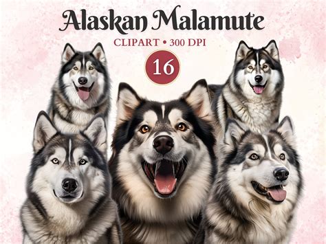 Alaskan Malamute Clipart, Alaskan Dog Graphics, Dog Silhouette Clip Art, Dog Vector, Canine
