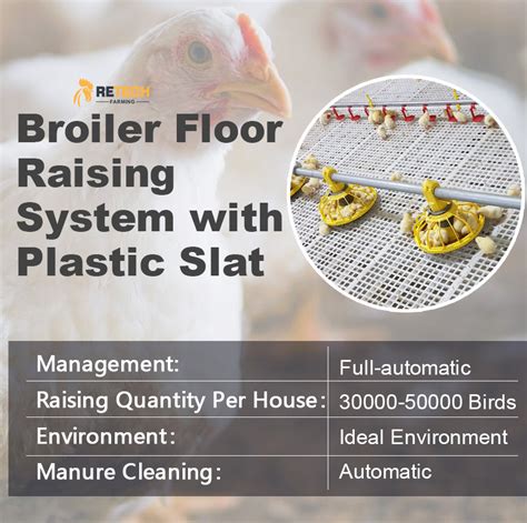 Broiler Floor Raising Chicken Farmingfarm System Automatic Poultry