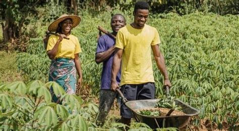 Sensibilisation à l agroécologie en Afrique de l Ouest ActionAID