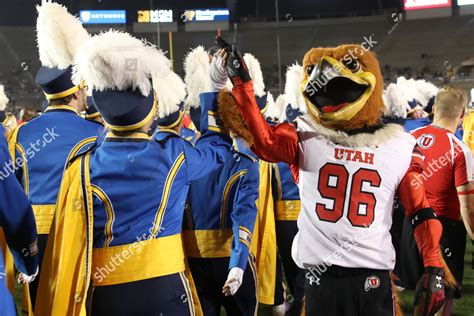 Utah Football Mascot