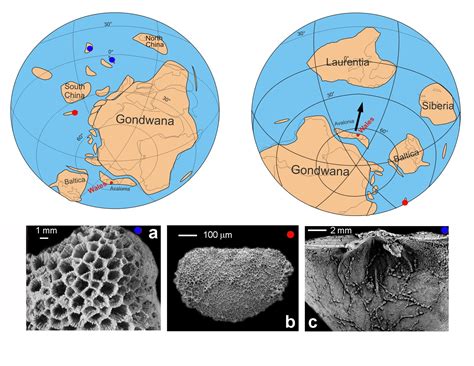 Gondwana Supercontinent Map