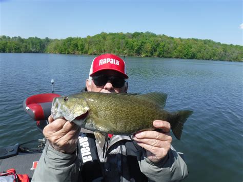 Tennessee Bass Guides