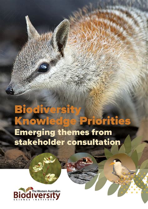 Biodiversity Knowledge Priorities Emerging Themes From Stakeholder