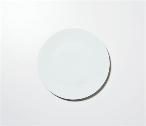 Modern White Porcelain Dinner Plates | Snowe