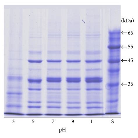 Effect Of Ph And Nacl Concentration On Protein Solubility Of Sp From