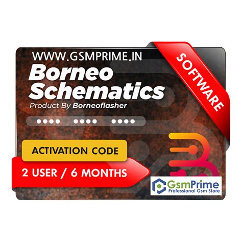 Borneo Schematics 2 Users 6 Months Activation Code Professional Gsm