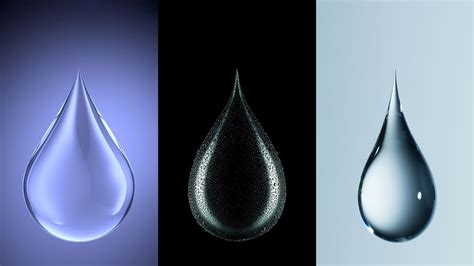 promising breakthrough  liquid condensate compartmentalisation