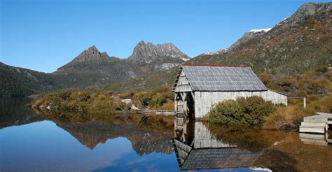 Launceston Cradle Mountain National Park Day Trip With Hike