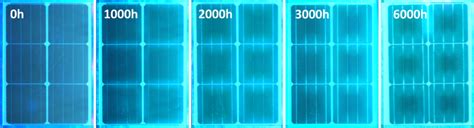 UVF-images of the Tropical 1 time series. | Download Scientific Diagram