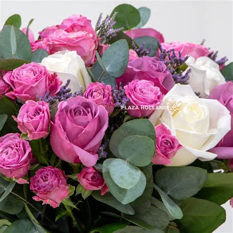 Purple Rose Flower Bouquet Flowers And Plants Plaza Hollandi