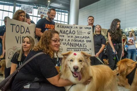 Após morte de Joca tutores de cachorros fazem manifestações em