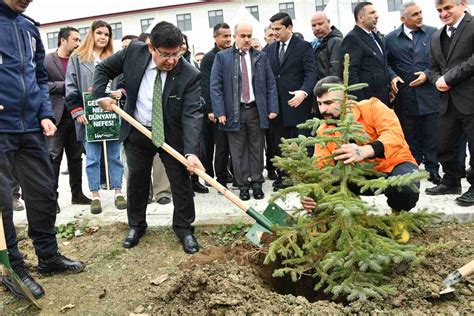 Samsun da 100 Bin Fidan Toprakla Buluştu ÇEVRE ENERJİ Samsun