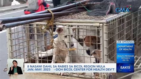 Nasawi Dahil Sa Rabies Sa Bicol Region Mula Jan May Doh