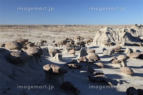 Bisti badlands De na zin wilderness area New Mexicoの写真素材 242928622