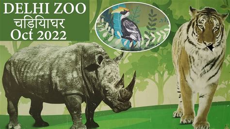 Delhi Zoo National Zoological Park Delhi Full Tour Guide Youtube