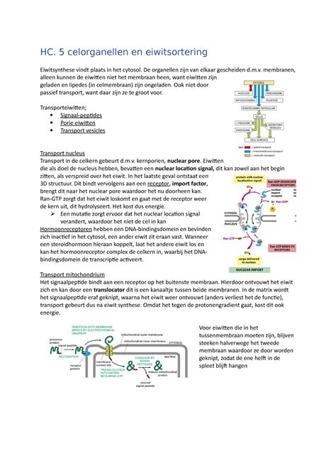HC 5 Celorganellen En Eiwitsortering HC 5 Celorganellen En