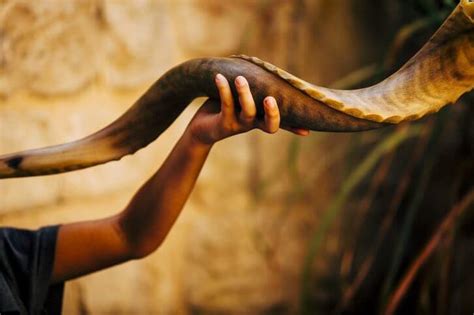 The Shofar In Modern Music More Than Just An Ancient Instrument