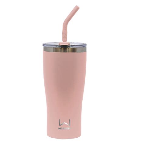 Wellness 20 Oz Double Wall Stainless Steel Tumbler Wstraw Big 5