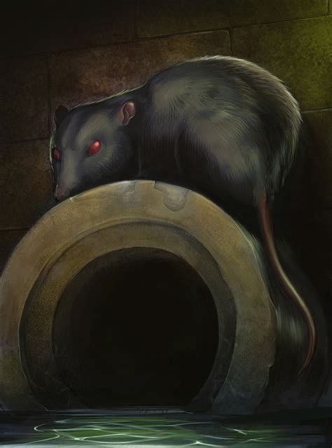 Sewer Rat by elpotolo on DeviantArt