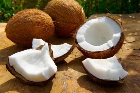 Cosa c è dentro il cocco Torrinomedica