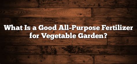 What Is a Good All-Purpose Fertilizer for Vegetable Garden? - Inter ...