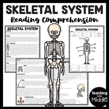 The Skeletal System Informational Text Reading Comprehension Worksheet