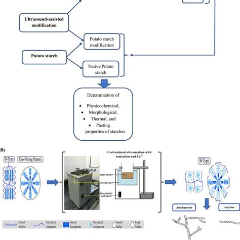 Flow Chart Of The Implemented Procedure To Examine The Sonication