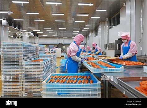 China Chicken Processing Plant Hi Res Stock Photography And Images Alamy