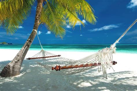 Beach Hammock Stock Photo by ©endhals 2531939