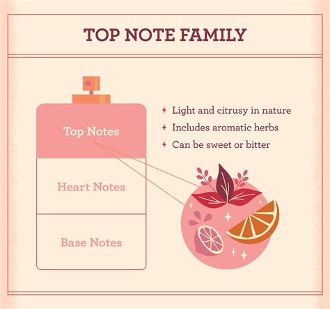 Fragrance Notes Everything You Need To Know