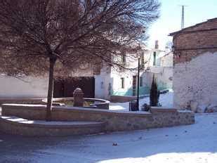 TIENA (Granada)