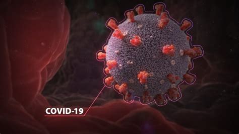 В Нью-Йорке резко выросла заболеваемость COVID-19 | НВ-ОНЛАЙН