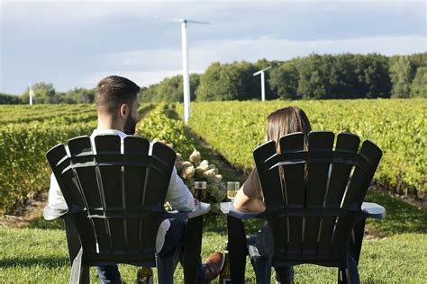 Pique Niquer Au Pied Des Vignes Tourisme Basses Laurentides