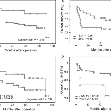 Pten Bmi And Phlpp Expression Status And Endometrial Cancer