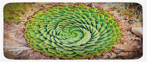 Plant Kitchen Mat National Flower Of Lesotho South Of Africa Aloe