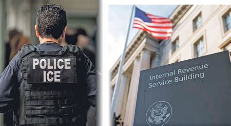 el irs podria pronto compartir sus datos  ice irs   share