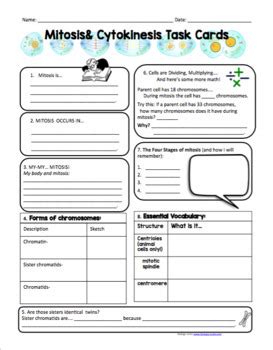 Cell Division Mitosis Task Cards By Biology Roots TpT