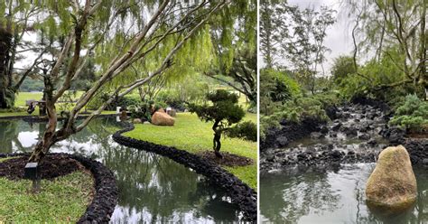 Enhanced Japanese Garden at Istana is larger, includes new dry rock ...