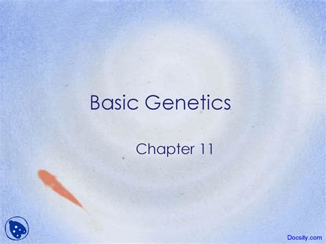 Basic Genetics - Application of Biology - Lecture Slides - Docsity