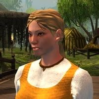 Characters in Neverwinter Nights 2 - TV Tropes