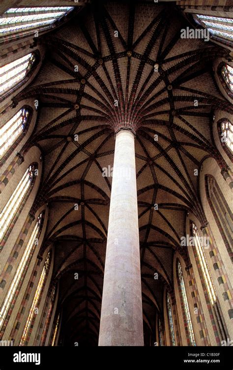 Palm Tree Of The Jacobins Hi Res Stock Photography And Images Alamy