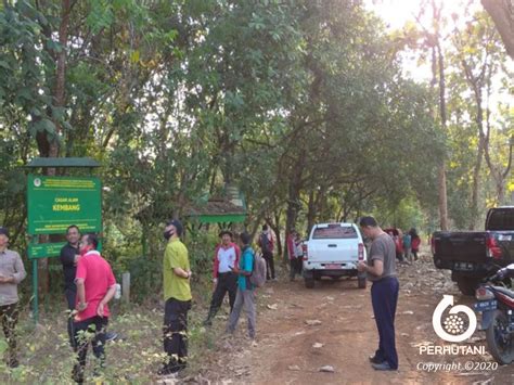 Perhutani Perhutani Bersama Bksda Jateng Koordinasi Pengamanan Hutan