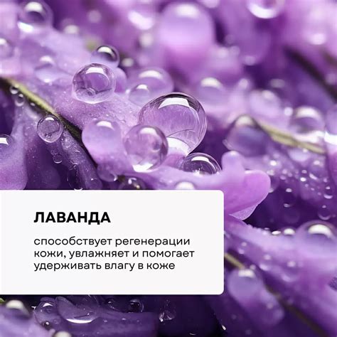 Гидролат Лаванда - купить в интернет-магазине Экомэйк