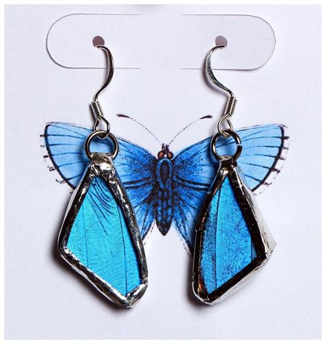 Real Butterfly Wing Earrings Blue Morpho