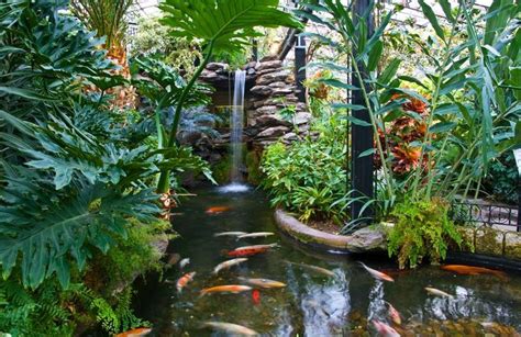 Inverness Botanical Gardens Beautiful Places Tropical Garden