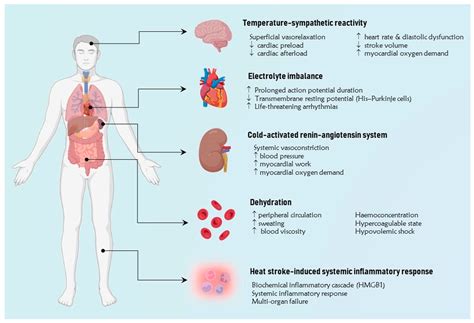Advanced medicine might redefine what a terminal condition means 20