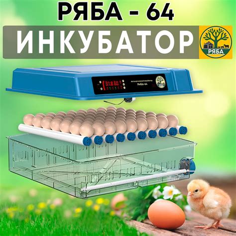 Инкубатор для яиц автоматический Р64 с терморегулятором, гигрометром ...